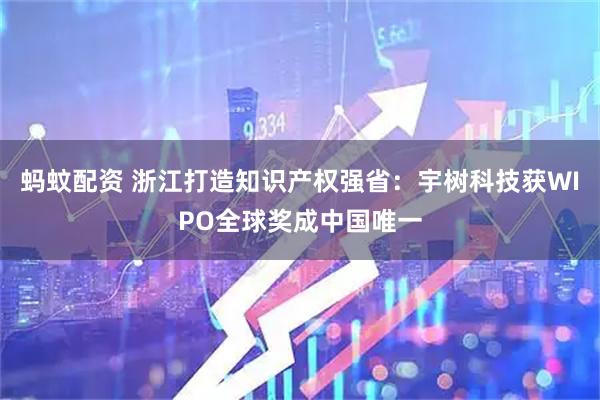 蚂蚊配资 浙江打造知识产权强省：宇树科技获WIPO全球奖成中国唯一