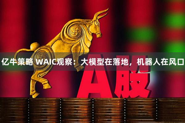亿牛策略 WAIC观察：大模型在落地，机器人在风口