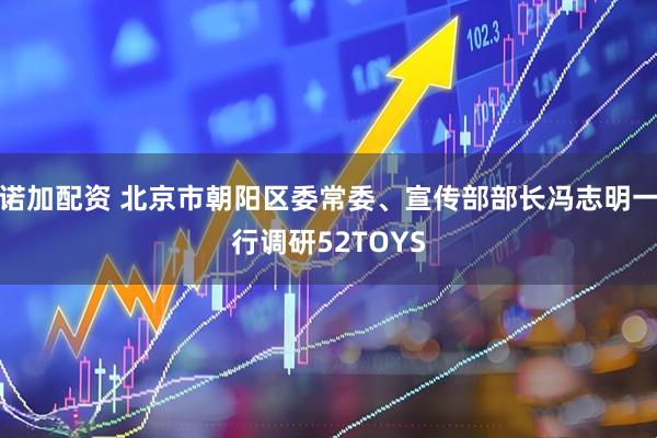 诺加配资 北京市朝阳区委常委、宣传部部长冯志明一行调研52TOYS