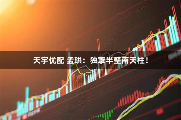 天宇优配 孟珙：独擎半壁南天柱！