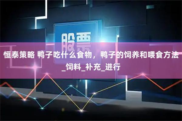 恒泰策略 鸭子吃什么食物，鸭子的饲养和喂食方法_饲料_补充_进行